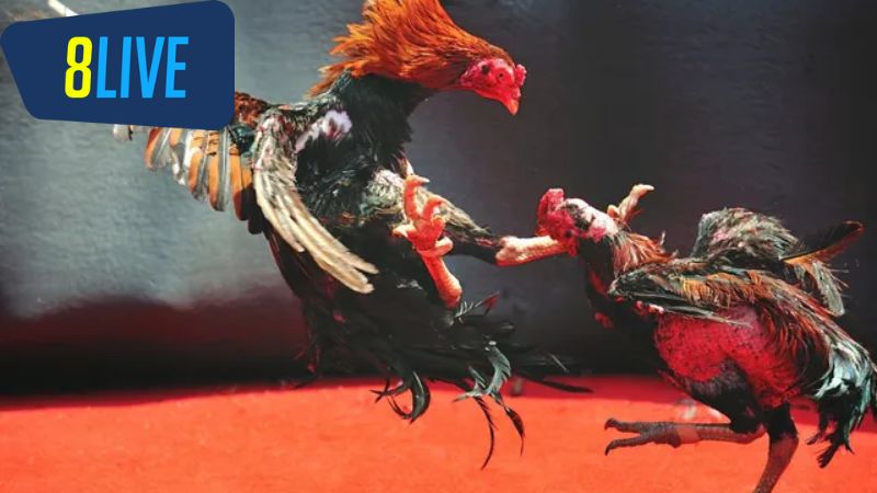 Sự phát triển và ảnh hưởng văn hóa